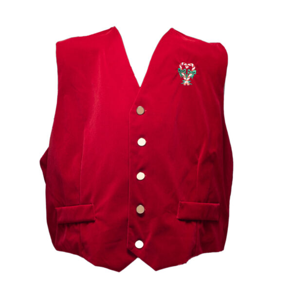 Embroidered Santa Velvet Vest With Buttons (Comes in several embroidery designs) - Image 10